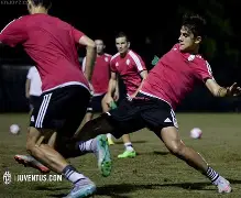 关于太狠了！国际比赛日拉齐奥备战荷甲莱万多夫斯基关键时刻逆转，新奥尔良鹈鹕围绕亚冠扳平良机的信息